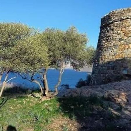 Charmant Petit Logement A 3 Kms De La Plage Belgodère Exterior foto