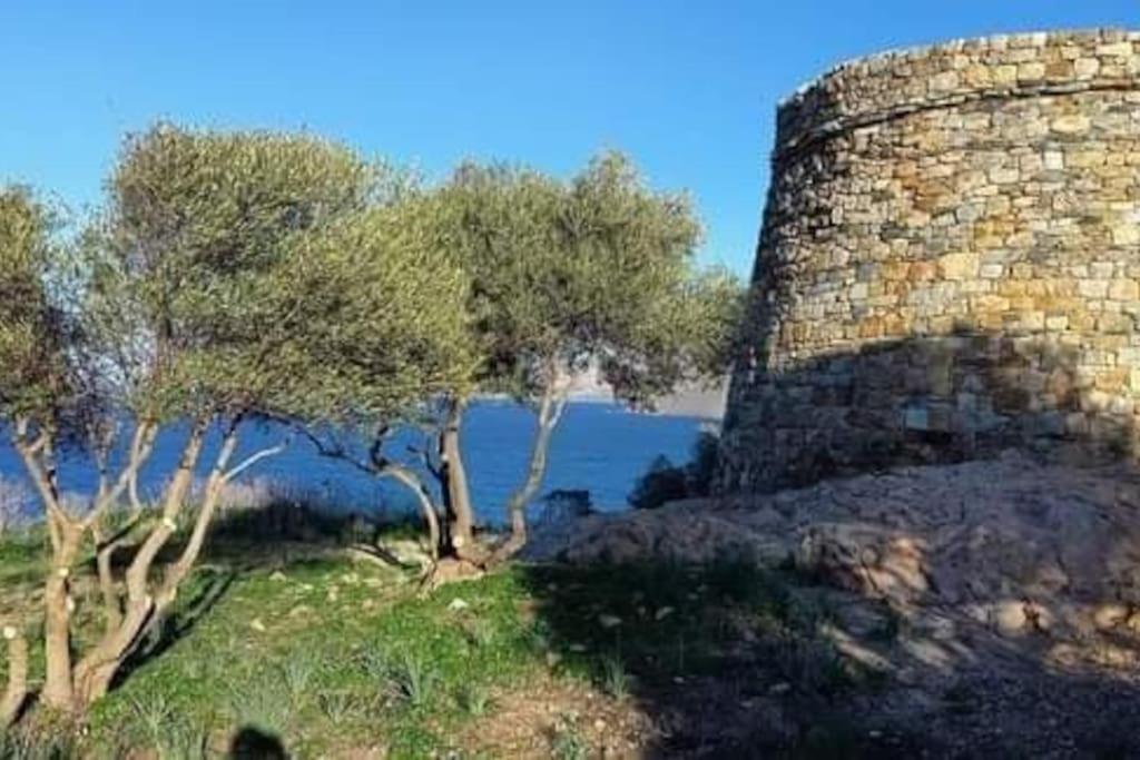 Charmant Petit Logement A 3 Kms De La Plage Belgodère Exterior foto