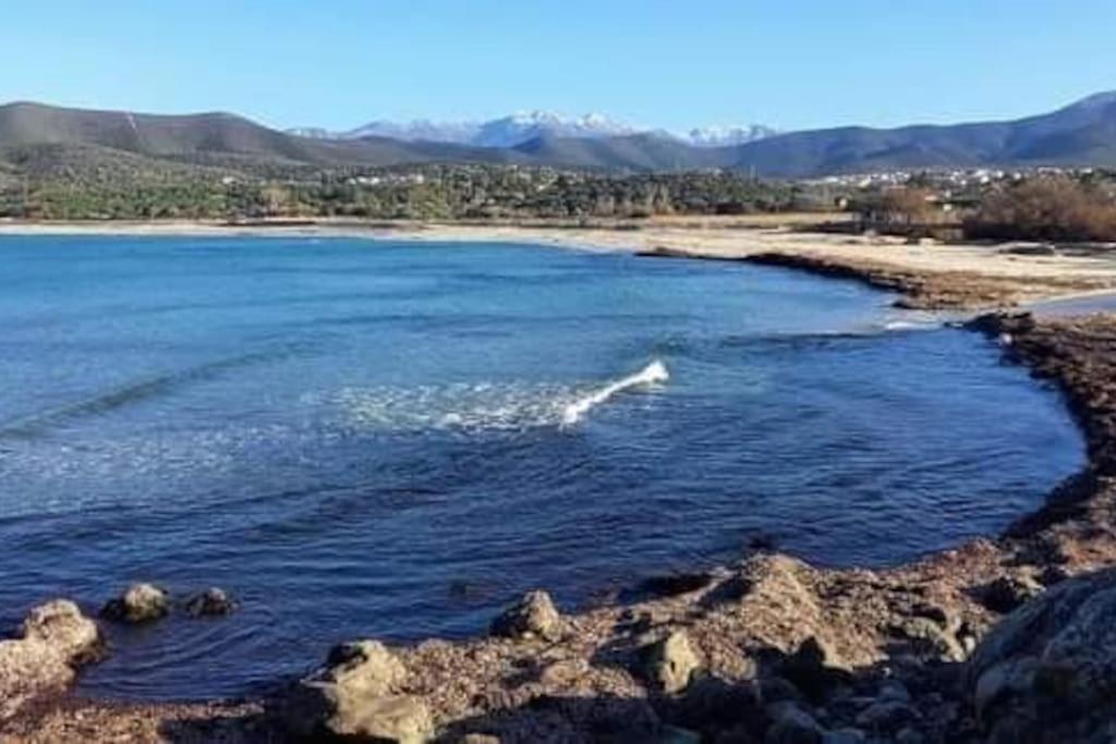 Charmant Petit Logement A 3 Kms De La Plage Belgodère Exterior foto