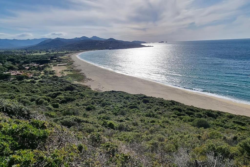 Charmant Petit Logement A 3 Kms De La Plage Belgodère Exterior foto