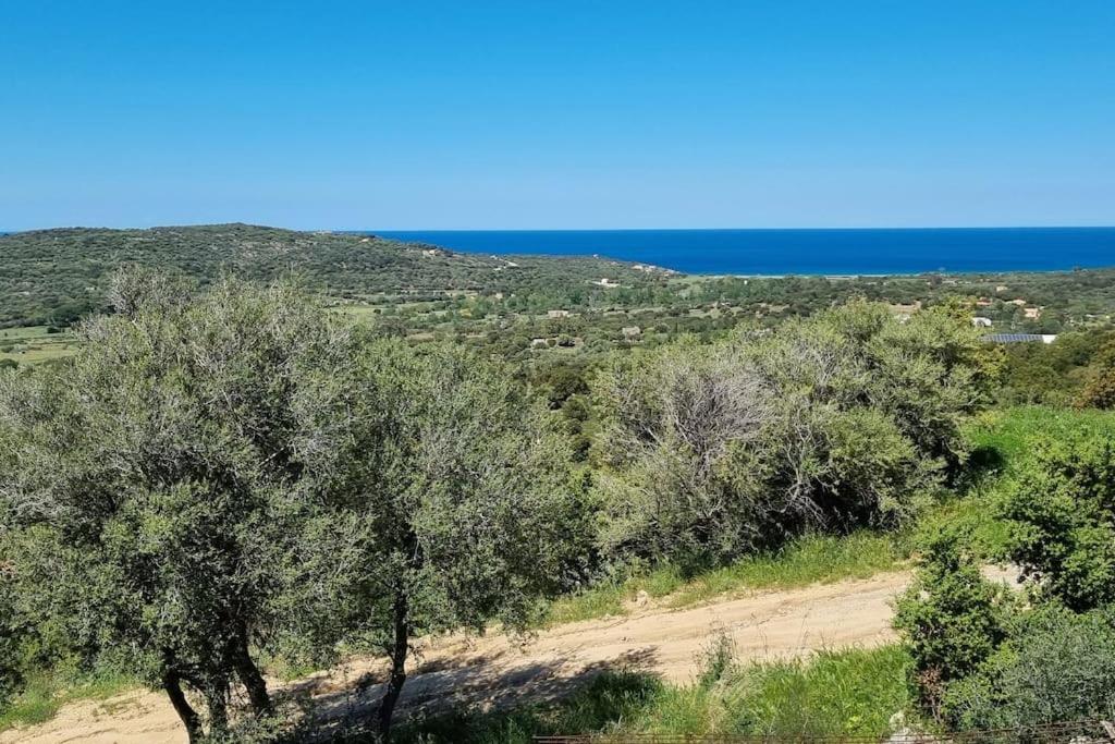 Charmant Petit Logement A 3 Kms De La Plage Belgodère Exterior foto
